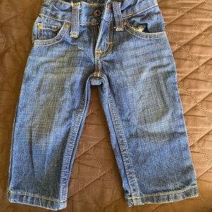 3-6 month old wranglers